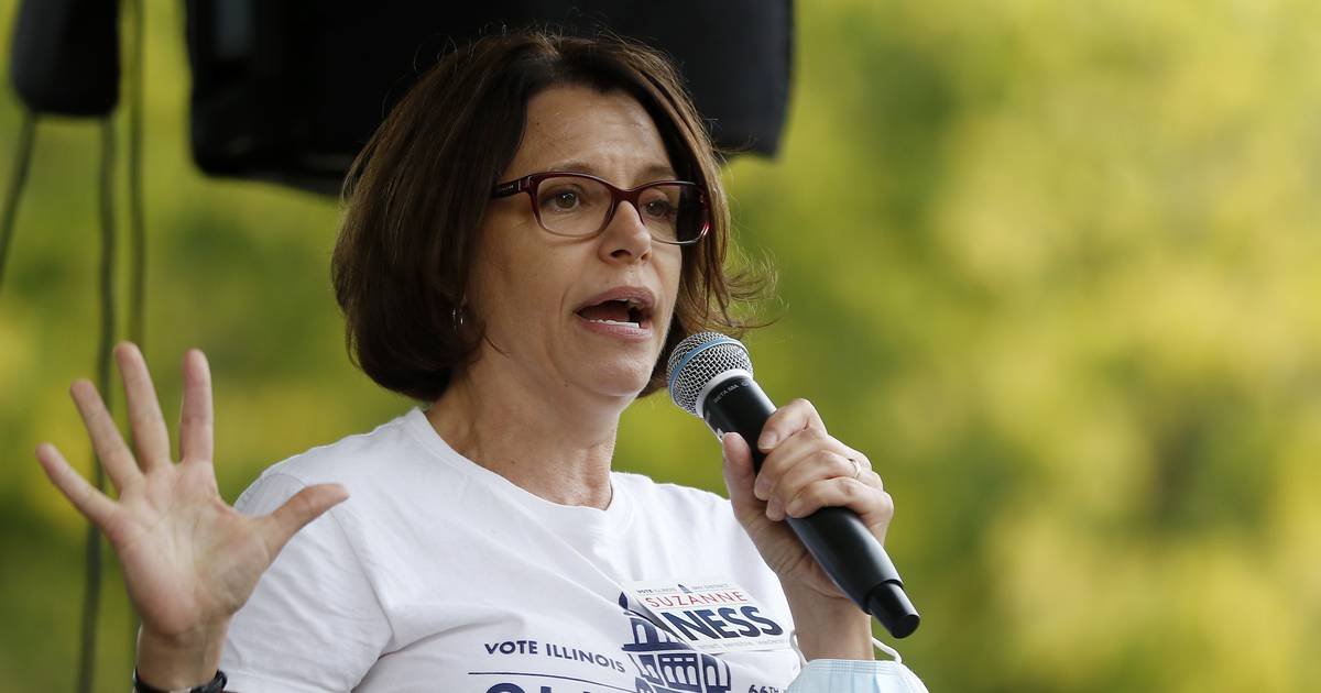 2024 Election Questionnaire: Suzanne Ness Illinois House 66th