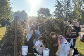 Princeton students have hands-on experience to process grape jelly  