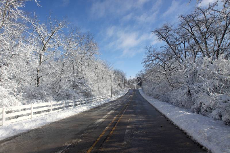 Fresh snow is piled on branches along Collins Road near Marengo Saturday morning. Bitter cold is expected to worsen into Sunday, the National Weather Service warned.
