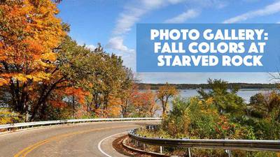 Photo Gallery: Fall Colors At Starved Rock