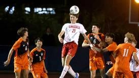 Hinsdale Central falls to Hersey in state semifinal