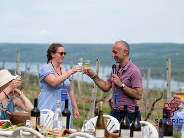 Uncorked: Ancient grape saperavi suited to new world climate
