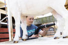 Shaw Local Radio Podcast: Talk-Line with Steve Marco interviews Josie Hussey, Lee County 4-H