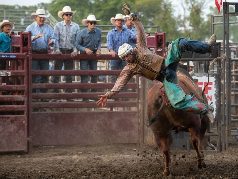 Christian Cox falls off of a bull during the Tuff Hedeman Tour at the 75th Anniversary of the McHenry County Fair in Woodstock on Friday, August 4, 2023.