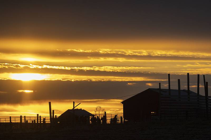 Firefighters work at 8455 Judson Road in rural Polo Monday, Nov. 17, 2025, attending to a shed fire. Departments from Mount Morris, Polo, Dixon and Sterling were seen working at the site.