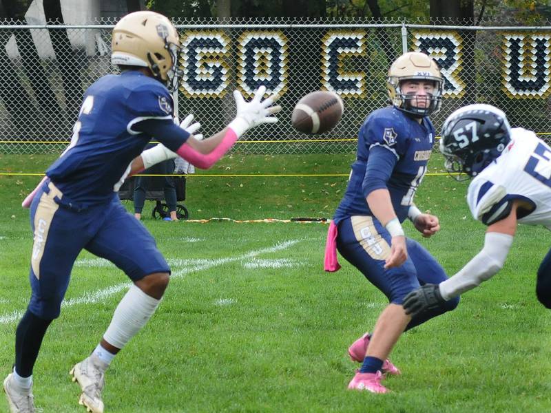 The Times IHSA football preview for Week 9 of the 2025 season