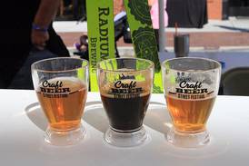 Sip into Summer: Must-visit beer & wine festivals in northern Illinois 