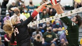 Girls volleyball: All-Fox Valley Conference team announced