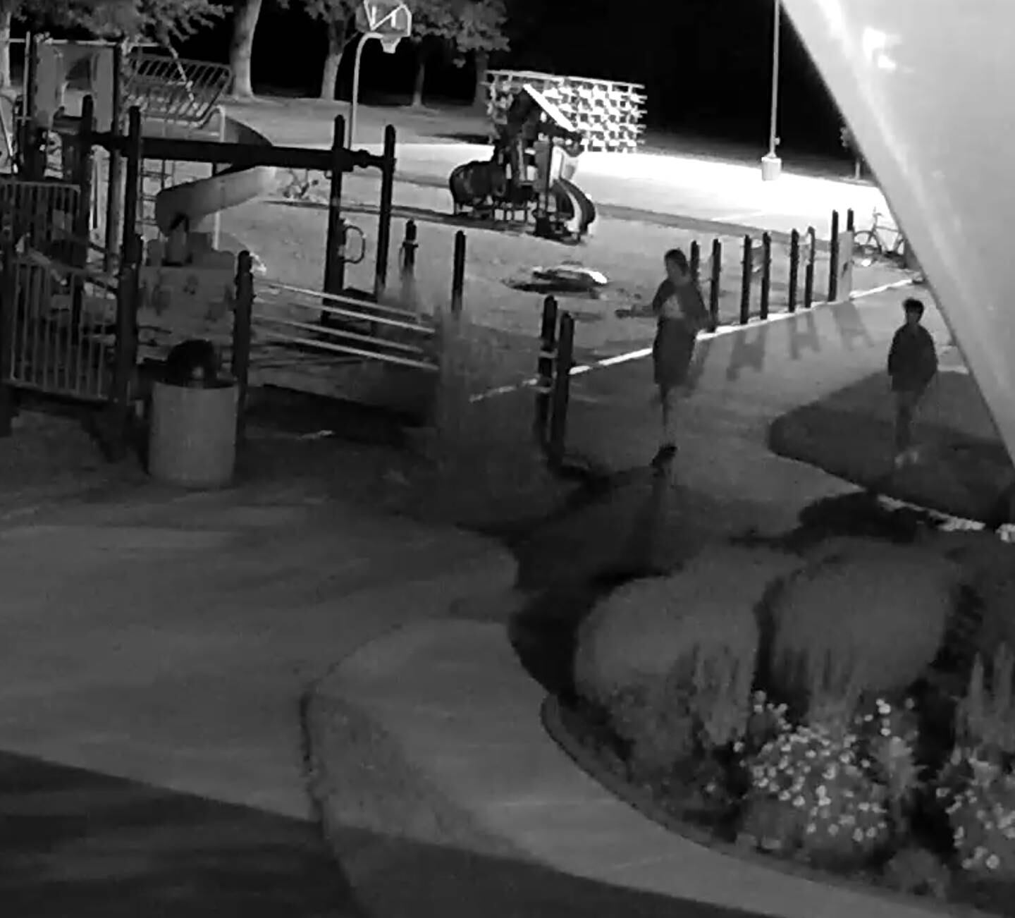 The Elburn Lions Club is looking for four boys who allegedly vandalized Elburn Lions Park on Sept. 3, 2022.