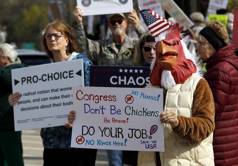 Debby Church, wearing a chicken head, joins the protesters that line U.S. Route 12 in Richmond to protest their discontent with President Donald Trump and his administration's policies on Saturday, April 19, 2025. Over 100, people took part in the Richmond protest. A second rally was held in Harvard later in the day.