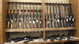 Illinois lawmakers hear from advocates for proposed assault weapons ban