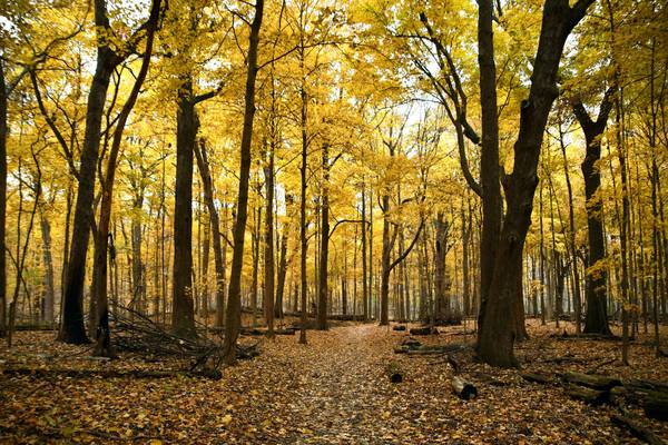 Will County forest district’s Be a Trailblazer experience offers outdoor adventures, chance to win prizes