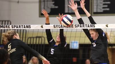 Photos: Sycamore, Burlington Central square off in Class 3A volleyball regional