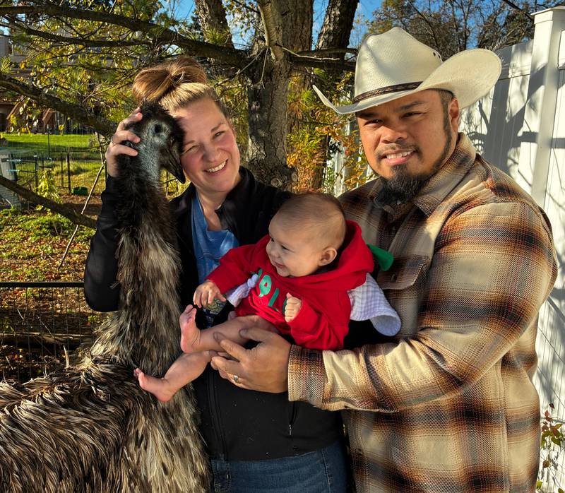 Dana and Marvin Maaba with their 3-month-old daughter and one of their emus at their McHenry home on Thursday, Oct. 30, 2025. The Maabas are putting their house on the market as the city will not allow them to keep the emus the bought the property to house in 2020.