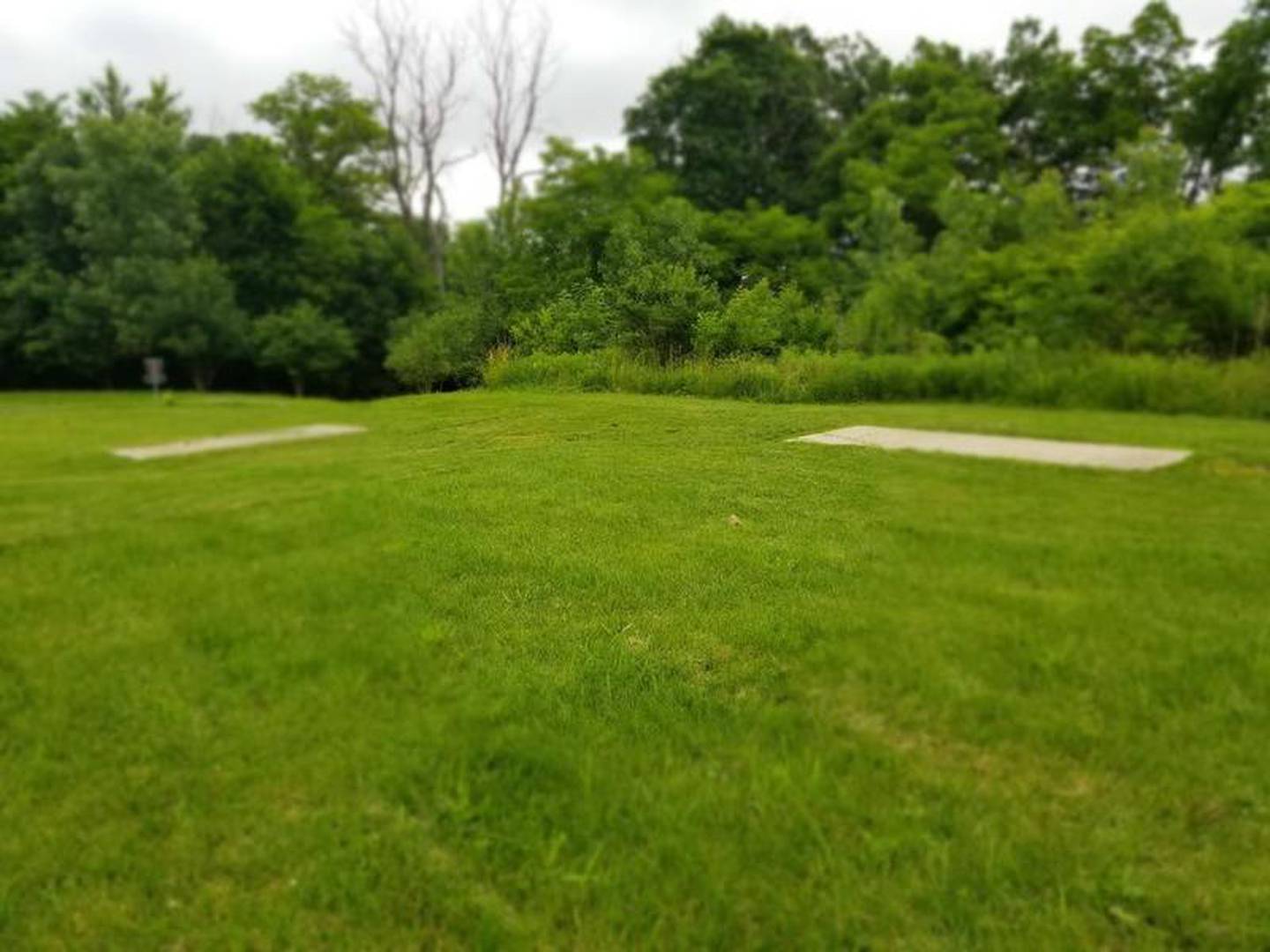 In the 1960s and 1970s, the area on top of the hill also had two playground areas. The park also used to have a swimming pool and tennis courts.