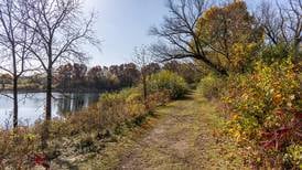 State grant supports improvements at Lake Carina