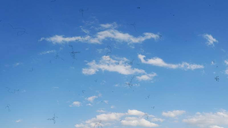 Windy City Retina - What Causes Eye Floaters and Can You Eliminate Them?
