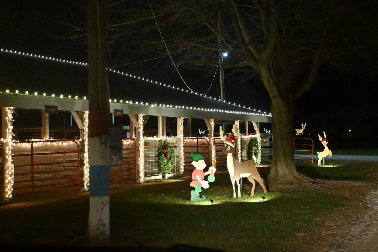 New Christmas attraction opens in Grundy County Shaw Local