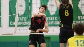 Boys volleyball: Lincoln-Way Central sweeps away Providence