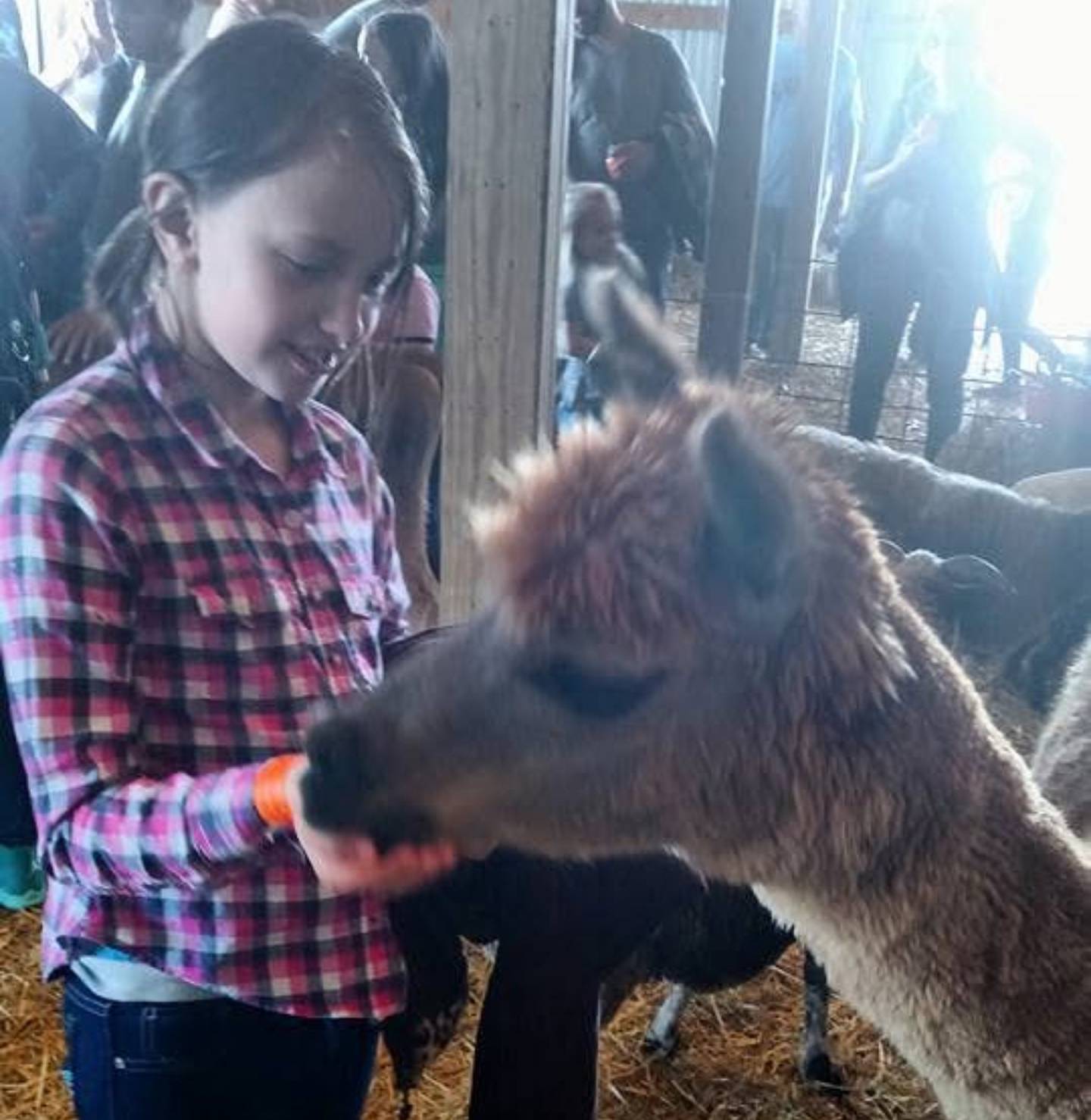 Gracie Sasso-Cleveland, shown in this June 2016 photo, was 15 when she was killed on May 4, 2023. Loved ones remembered her fondly for, among other attributes, her love for animals.