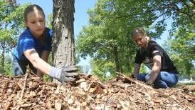‘They make us proud’: Milton Pope students help maintain Illinois Fallen Soldiers Memorial