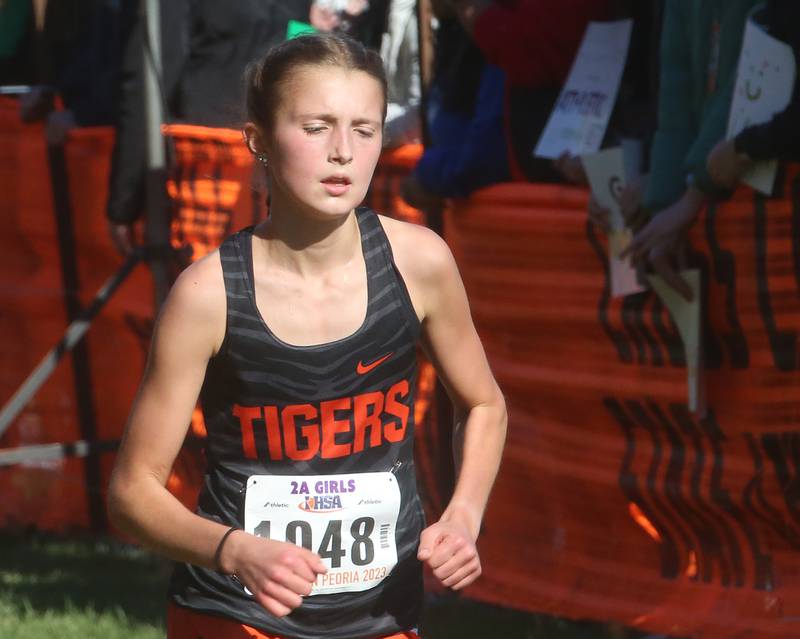 Crystal Lake Central's Brynn Matthaei competes in the Class 2A State Cross Country race on Saturday, Nov. 4, 2023 at Detweiller Park in Peoria.