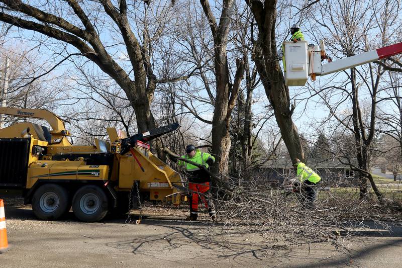 McHenry Township Road District crew leader Mike Mattio pauses from removing dead tree branches as road crew members Matt Stahl, left, and Eddie Bauer feed the branches into a wood chipper  on Hilltop Drive on Monday, Dec. 21, 2020 in Wonder Lake.