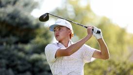 2025 IHSA state golf preview: McHenry County golfers set to tee off this weekend