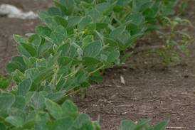 Loose soil, stagnate funding amid recent high-profile dust storms