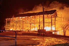 Several animals killed, barn destroyed in Hampshire-area fire