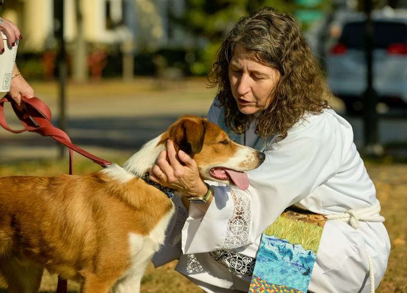 Geneva Lutheran Church’s Pastor Trudy Stoffel blesses “Huckleberry” during the church’s annual pet blessing service on Saturday, Oct 4, 2025 in Geneva.