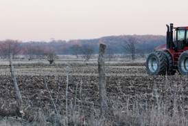 Farmland prices continued to soften in 2025