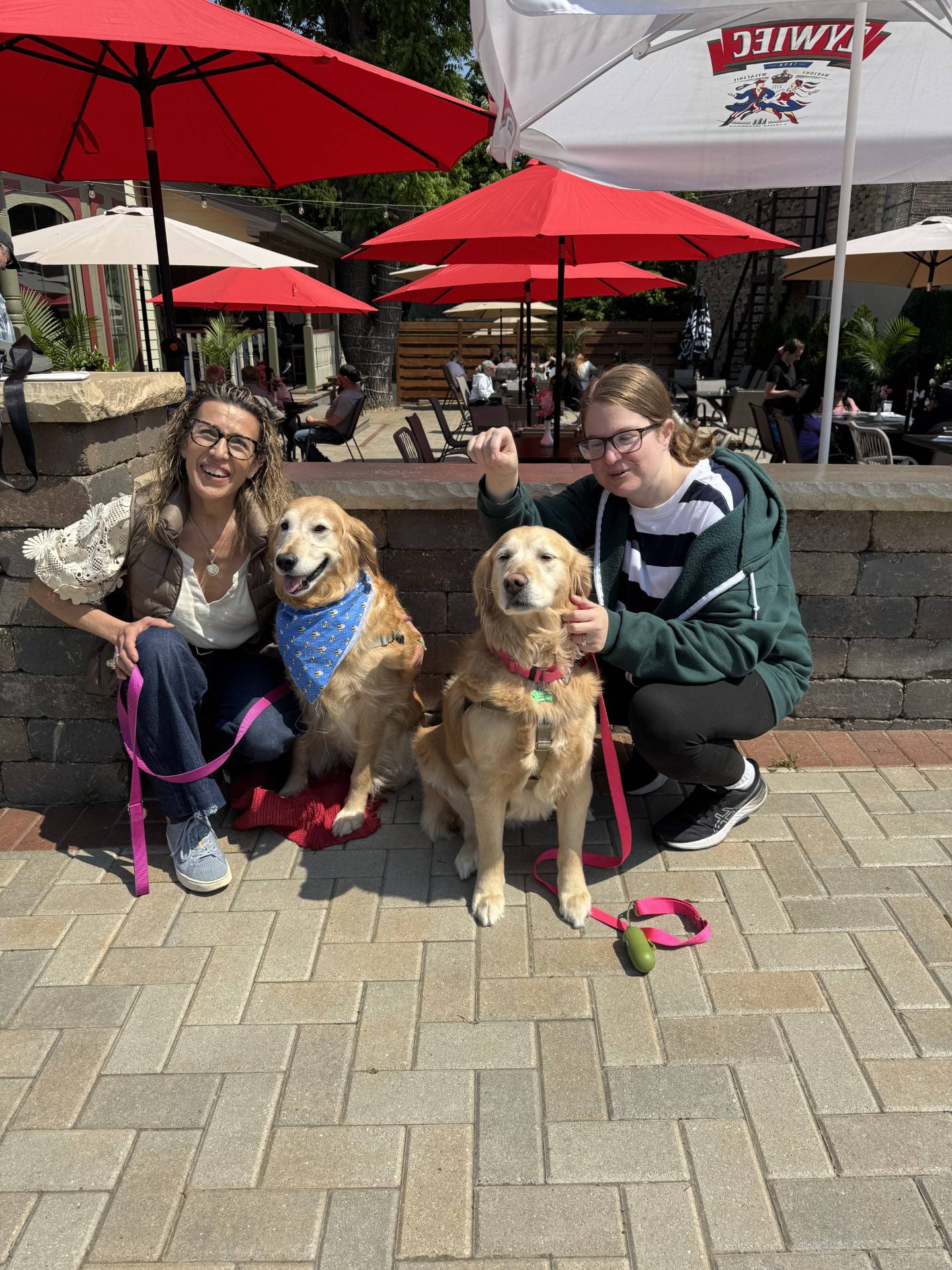 Foster moms Denise Samuel with Nugget and Meredith Bakken with Emma. Emma is now called a "Foster Fortunate" since Bakken wound up adopting her. Both dogs were rescued by As Good As Gold - Golden Retriever Rescue of Illinois.