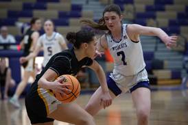 Wilmington holds on to win conference thriller 52-50 over Herscher