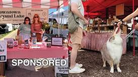 Don’t Miss the June 14th Return of the Downtown Crystal Lake Farmers Market!