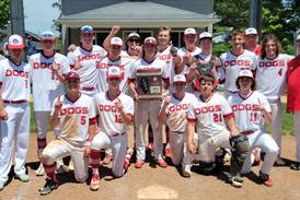 Baseball: Cole Martin’s walk-off sac fly lifts Streator to 3A regional title