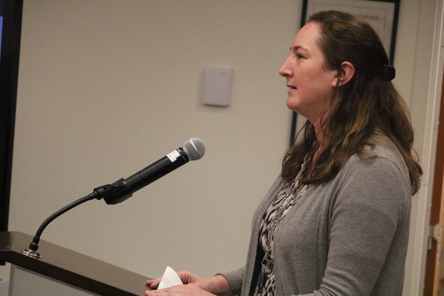 DeKalb Public Library executive director Emily Faulkner speaks Monday, Nov. 14, 2022 at the DeKalb City Council meeting.