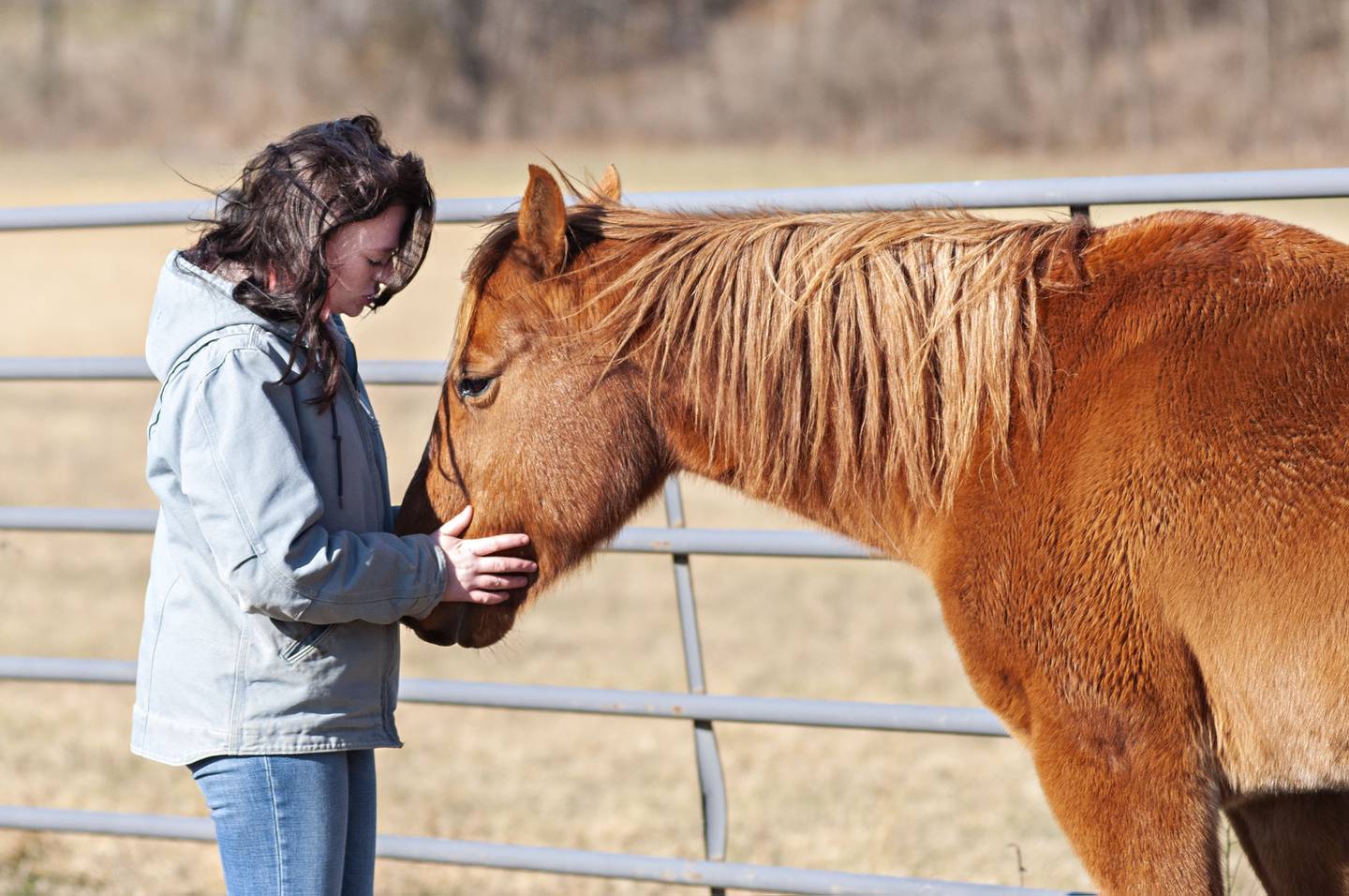 Molly Weinzierl takes a moment with her American quarter horse rescue Reno on December 9, 2021 at her Dixon farm. Reno was one step away from a slaughterhouse but now performs in barrel racing and drill team events.