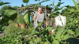 Down the Garden Path: How to make water conscious gardening choices
