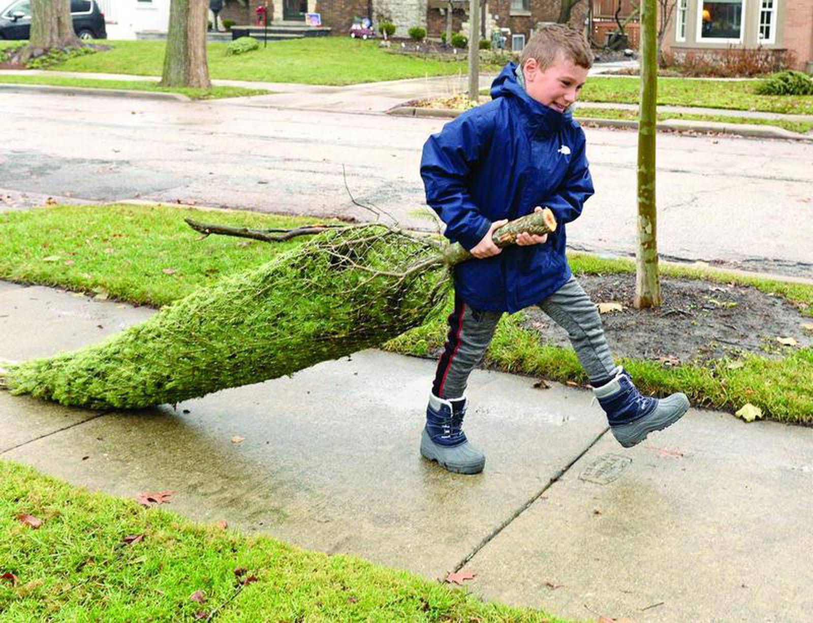 TreeMendous Tradition Elmhurst neighbors put up Christmas trees for
