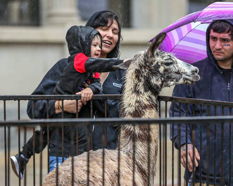 A family enjoys the petting zoo at the Joliet Kidz Fest.  August 5, 2023