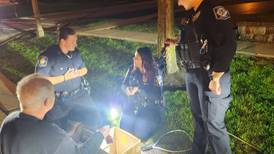 ‘Like Charlie’s Angels showed up’: Geneva police rescue ducklings from storm sewer