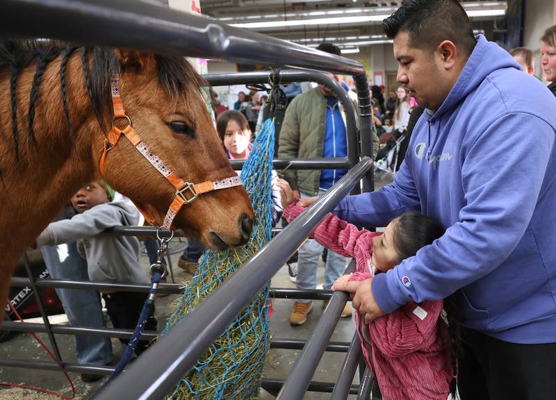 Visitors pet Chief Wednesday, Feb. 25, 2026, during the DeKalb High School Future Farmers of America Barnyard Zoo. The event was open to the public and offered the chance to learn about farming and see farm animals up close.