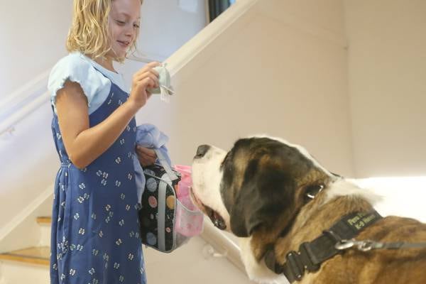 Photos: Therapy dog brings comfort to Peru school 