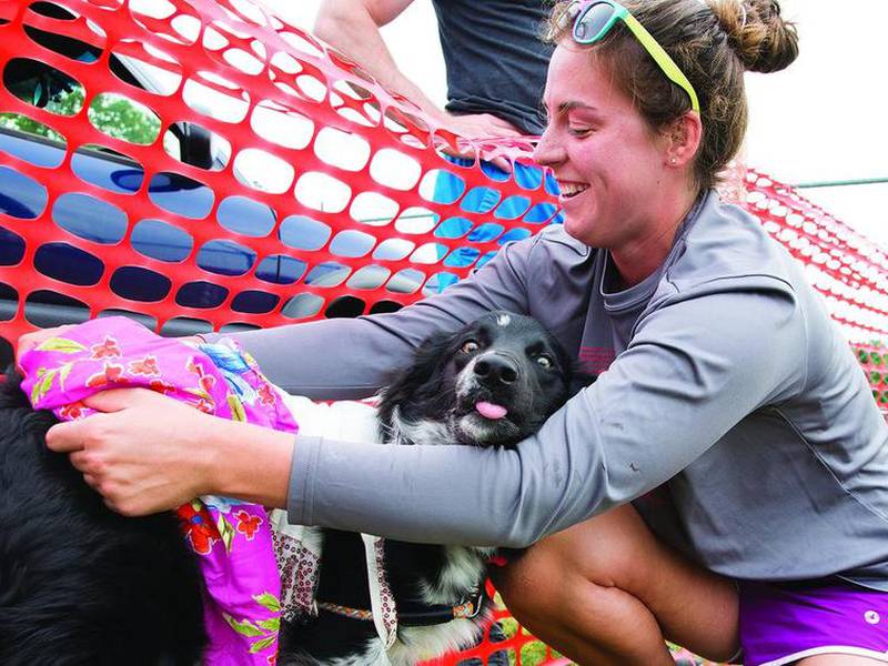Ogle County dog rescue bringing multiple rescues together for September event in Oregon