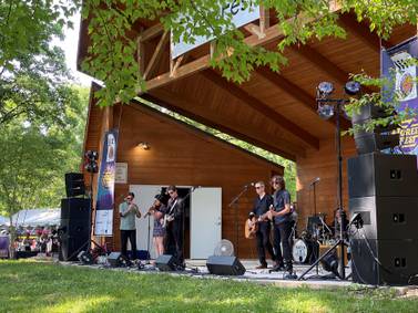 Pet Needs, The Boy Detective, all new acoustic stage headline at Grundy County fForest Fest on Saturday