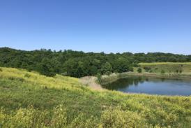 La Salle Rotary Park improvements approved