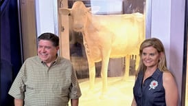 First look: 2025 Illinois State Fair butter cow unveiled