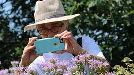 Snap, share and win during DuPage Forest Preserves photo contest