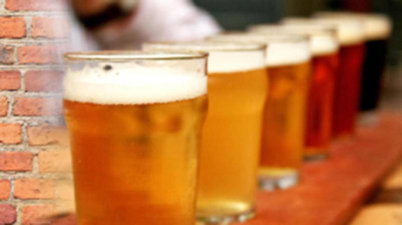 Presented by the Lake County Fair Association, the Lake County Craft Beer Festival will take place from 5 to 9 p.m. Feb. 25 at the fairgrounds, 1060 E. Peterson Road, Grayslake.